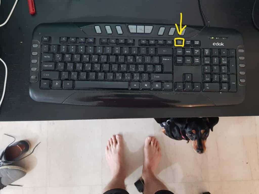 הכפתור במקלדת שמצלם מסך